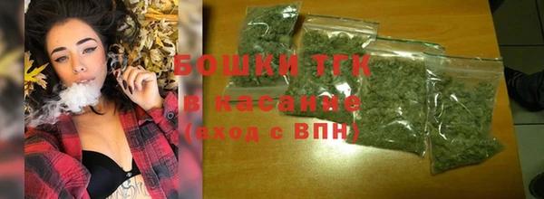 ПСИЛОЦИБИНОВЫЕ ГРИБЫ Алзамай