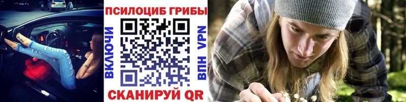 продажа наркотиков  площадка официальный сайт  Псилоцибиновые грибы MAGIC MUSHROOMS  Духовщина 