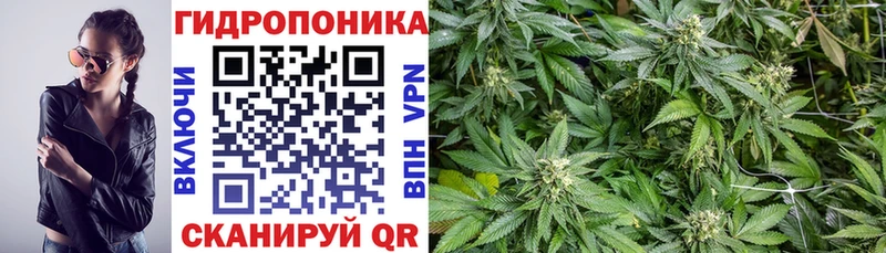 даркнет какой сайт  наркота  Духовщина  Каннабис ГИДРОПОН 